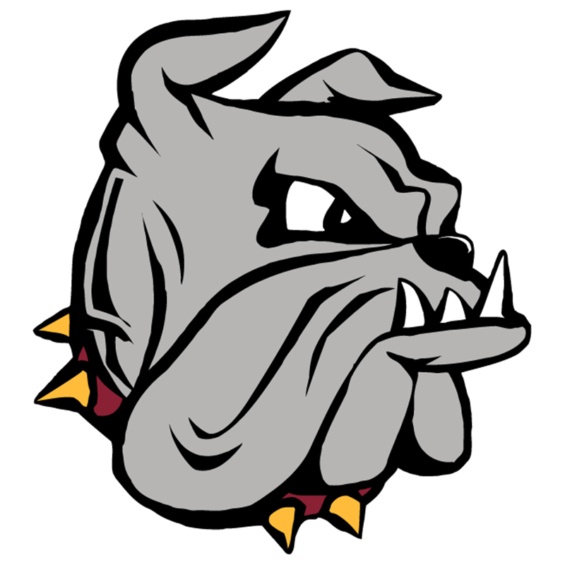 Minnesota-Duluth Bulldogs iron ons